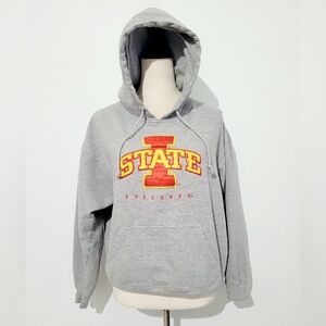 Gray Cyclones Hoodie